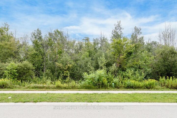 Property Photo:  Part Lot 25 (Part 2) Robinson Road  ON L9Z 2Z4 