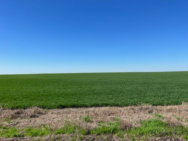 Property Photo: Tract 3 Cr 355 TX 76519