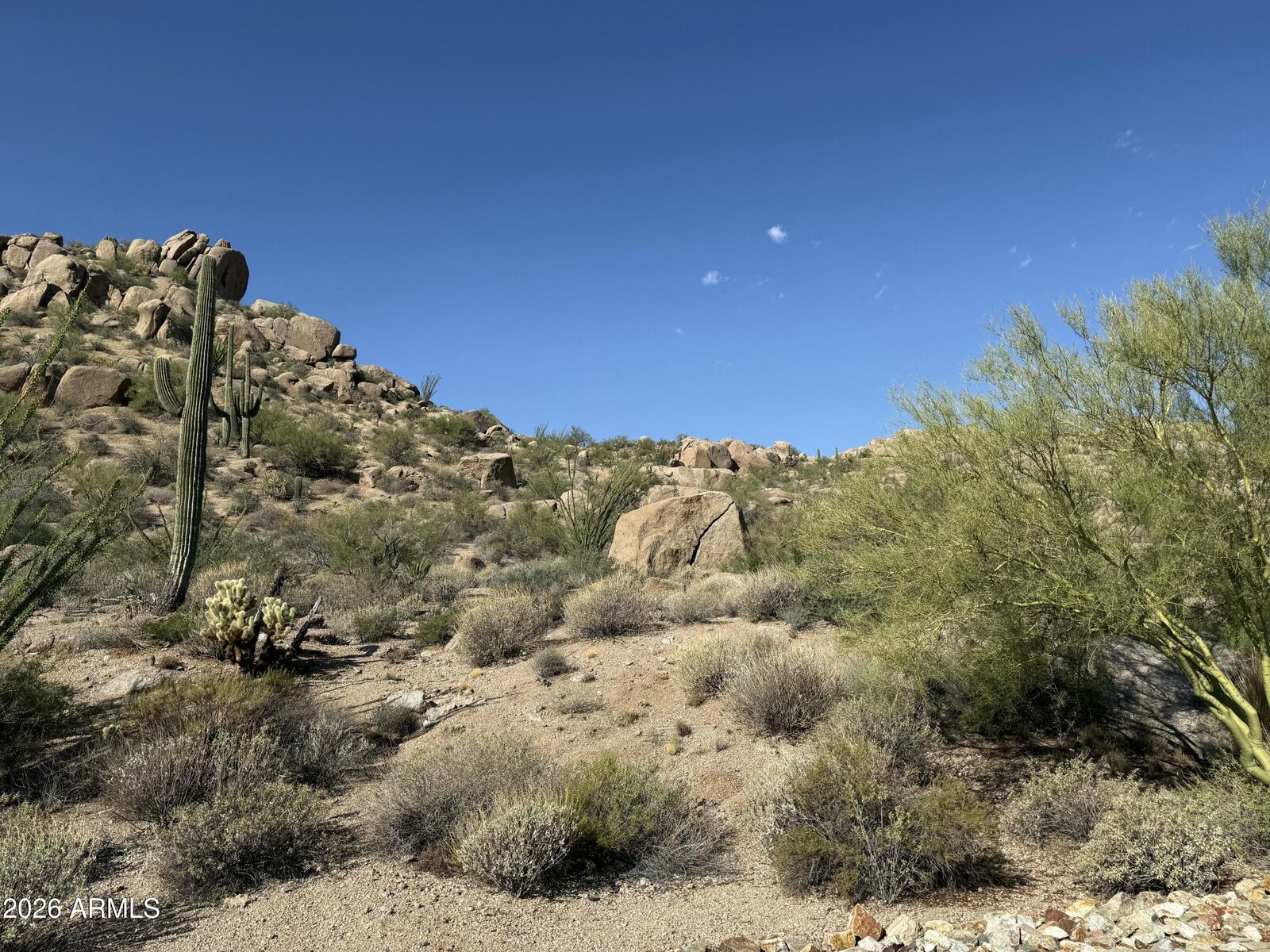 Property Photo:  27268 N 102nd Street 273  AZ 85262 