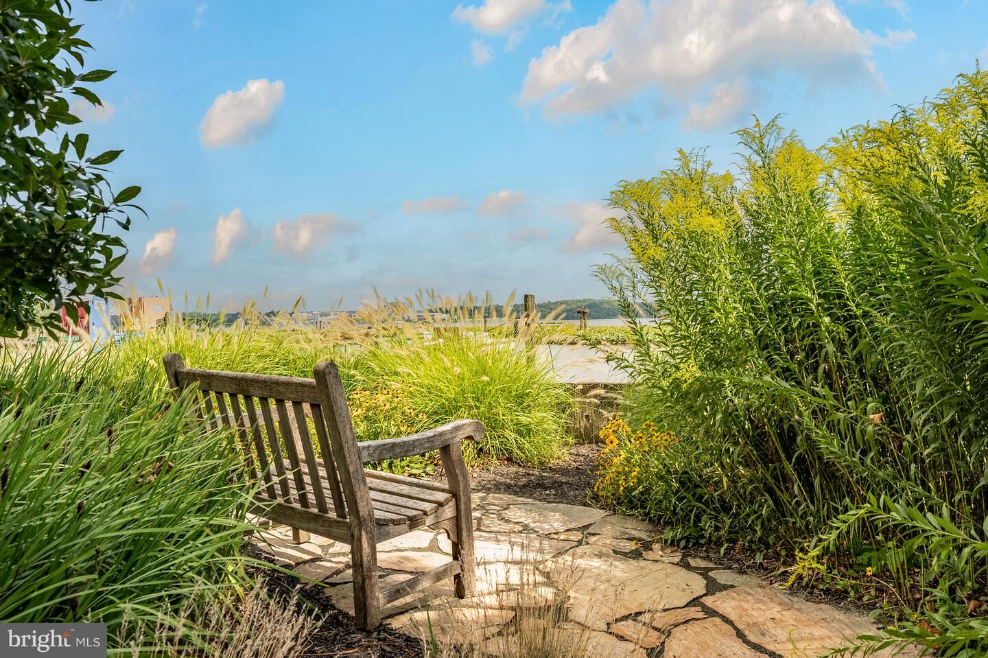 Property Photo:  1250 S Washington Street 416  VA 22314 