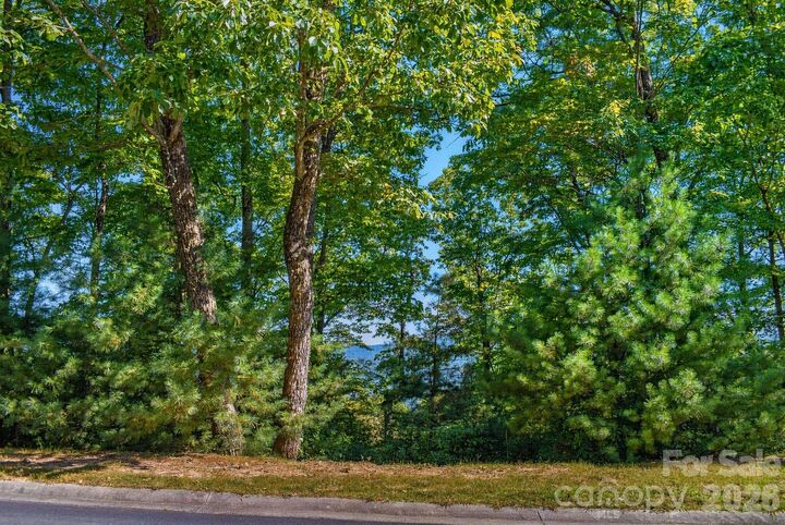 Property Photo:  838 Mills River Way  NC 28742 