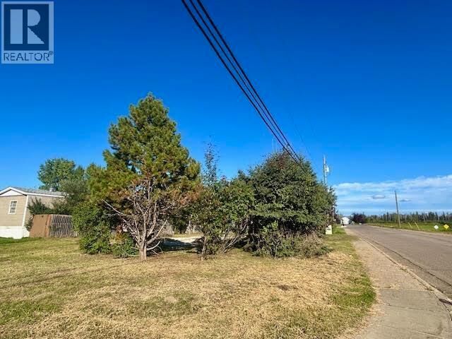 Property Photo:  5204 41 Street  BC V0C 1R0 
