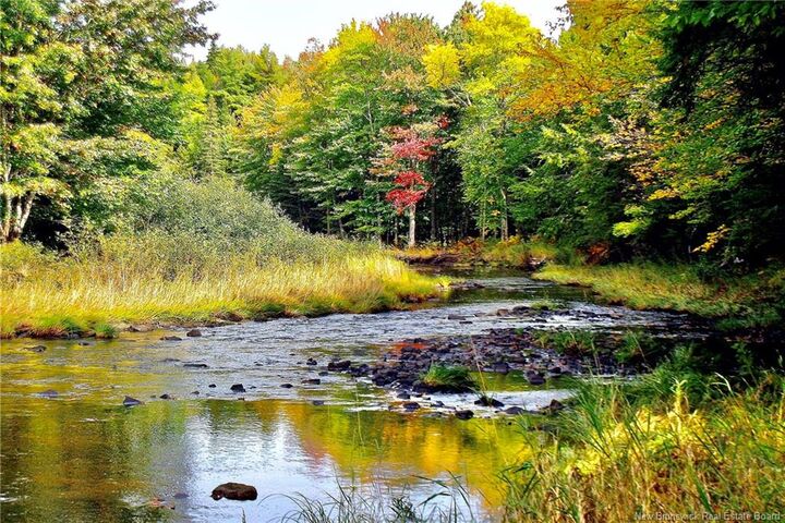 Property Photo:  Lot Rte 520 Coates Mills  NB E4S 1R7 