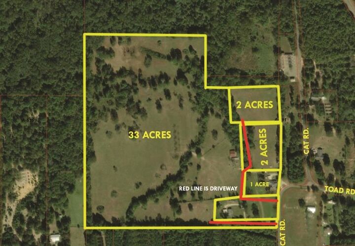 Property Photo: Tbd Cat Rd TX 75644