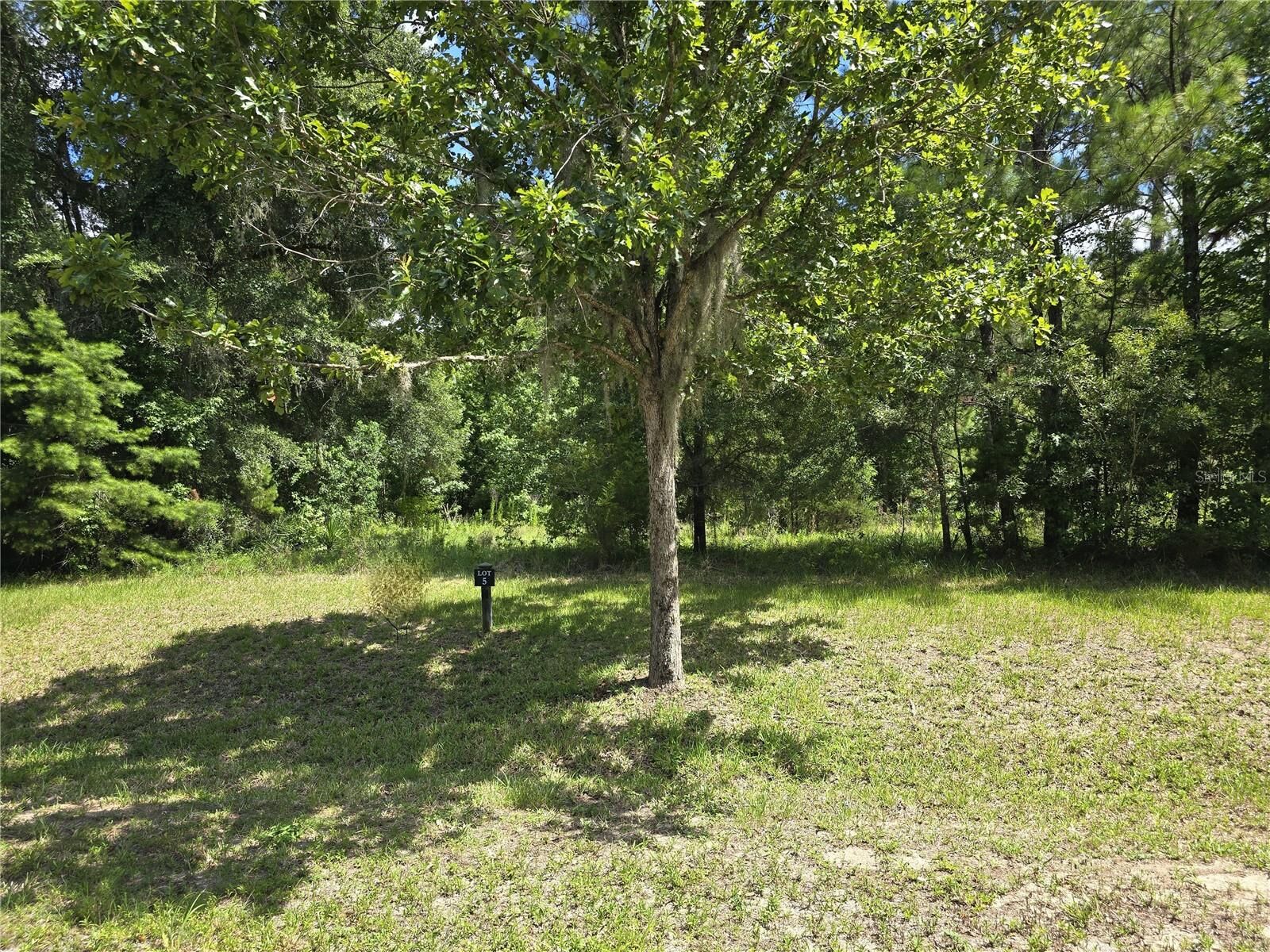 Property Photo:  8911 NW 58th Lane  FL 32653 
