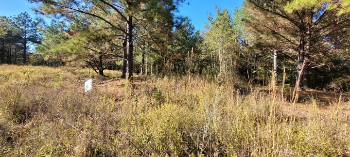 Property Photo: 0 Saddleback Dr TN 37058