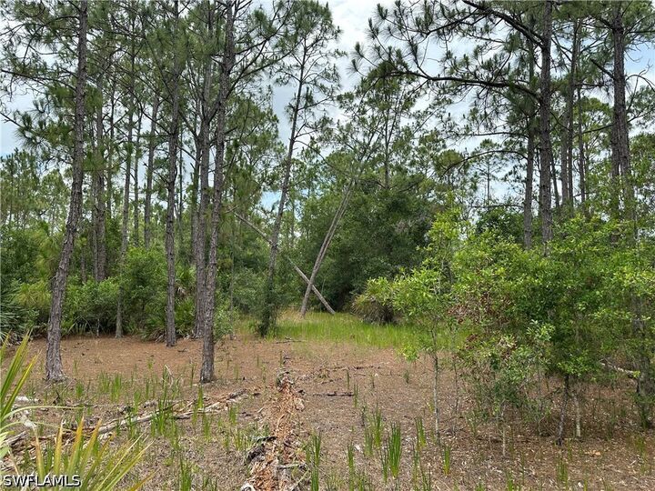Property Photo: 44th Street NE FL 34120