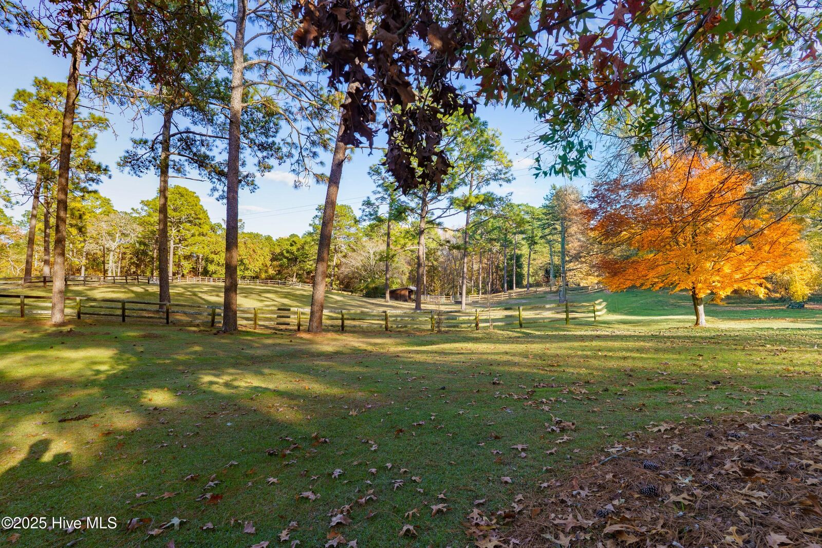 Property Photo: 292 Bump A Long Lane NC 28387