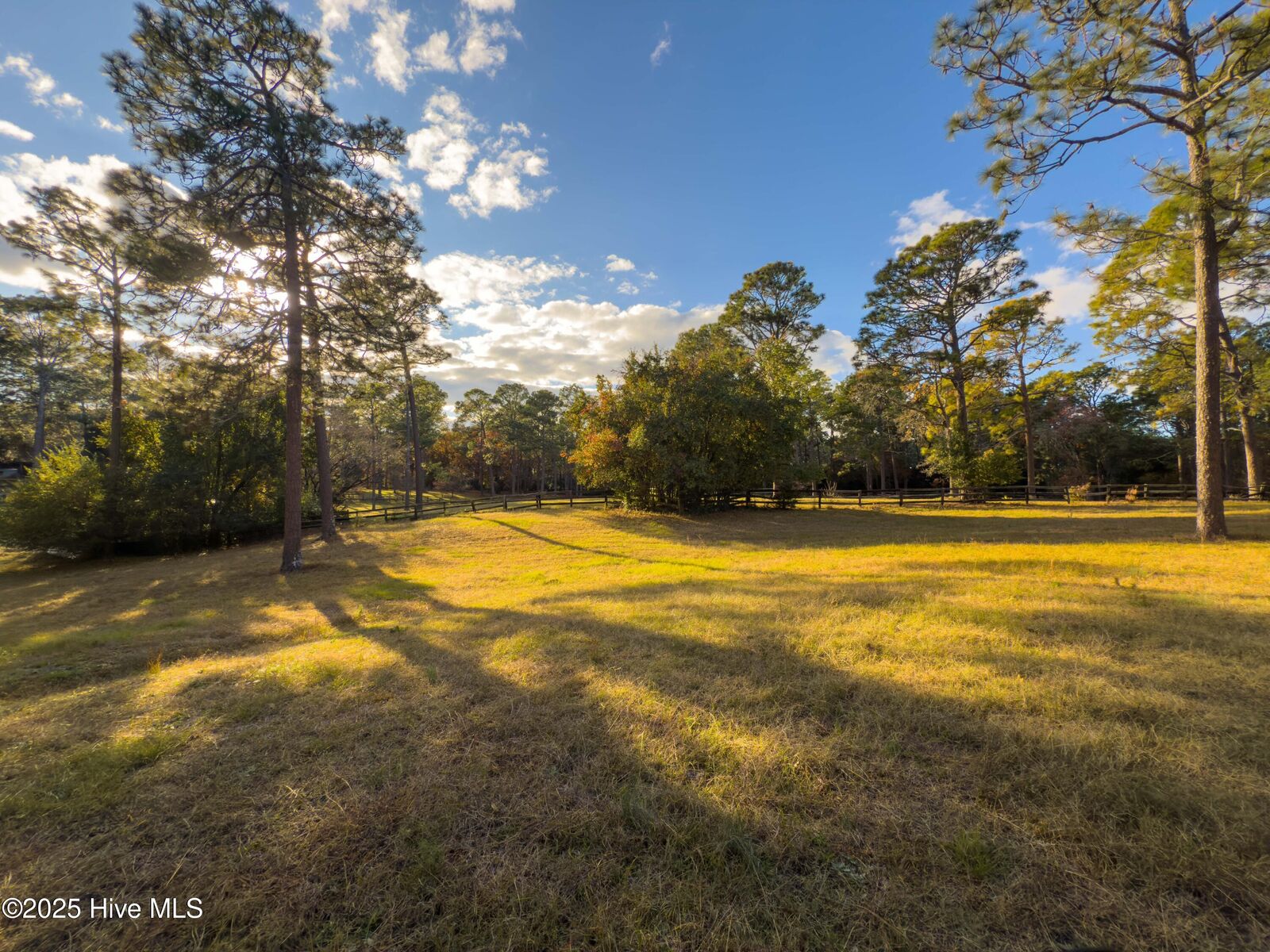 Property Photo:  292 Bump A Long Lane  NC 28387 