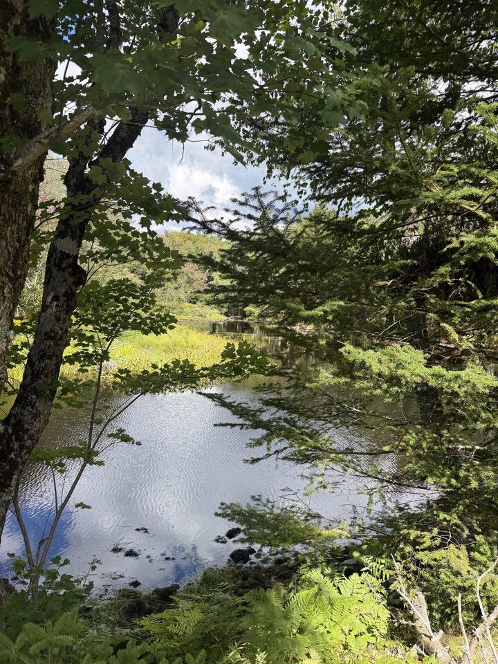 Property Photo:  1657 Hectanooga Road  NS B0W 2Y0 