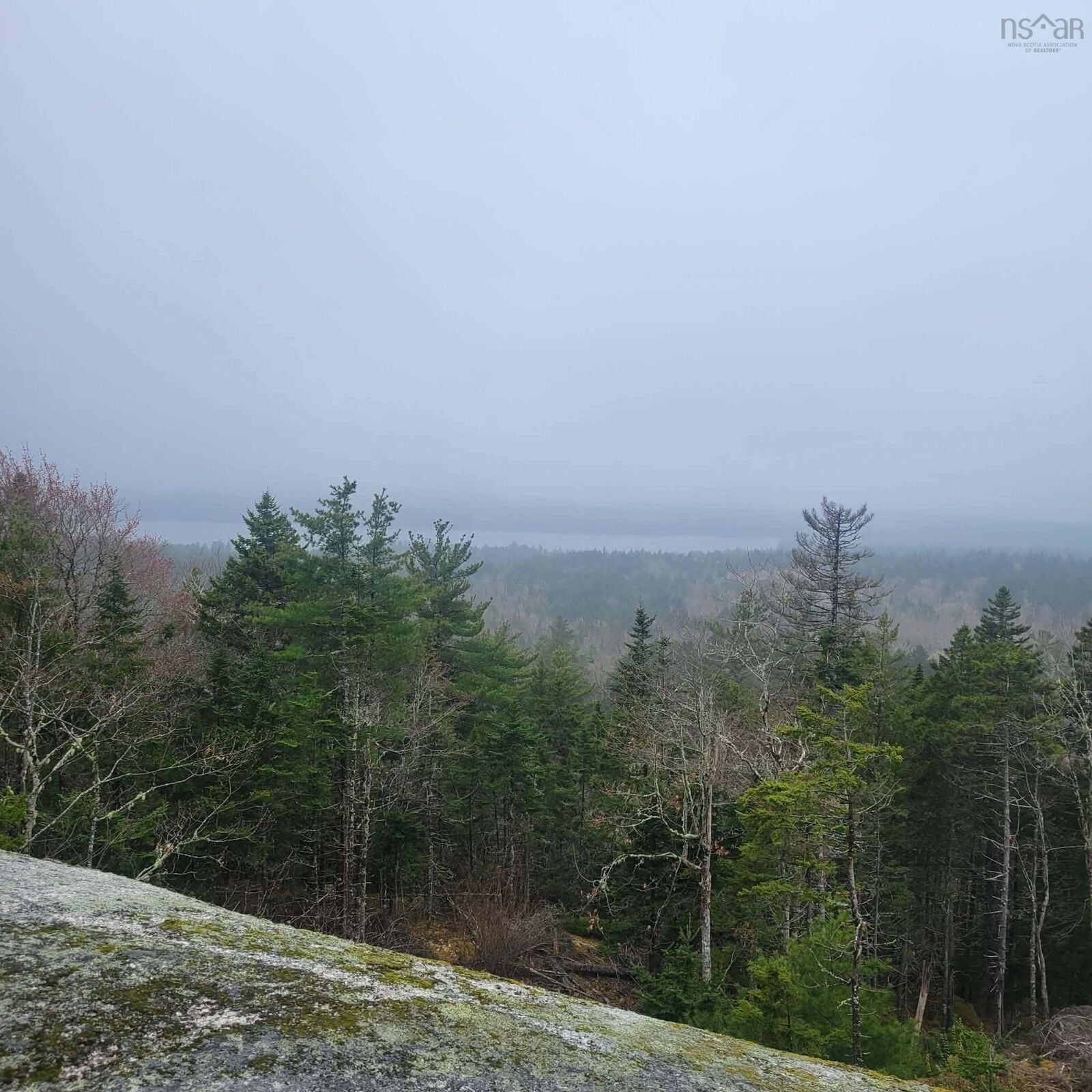 Property Photo:  Lot 17 Tupper Lake  NS B0T 1B0 