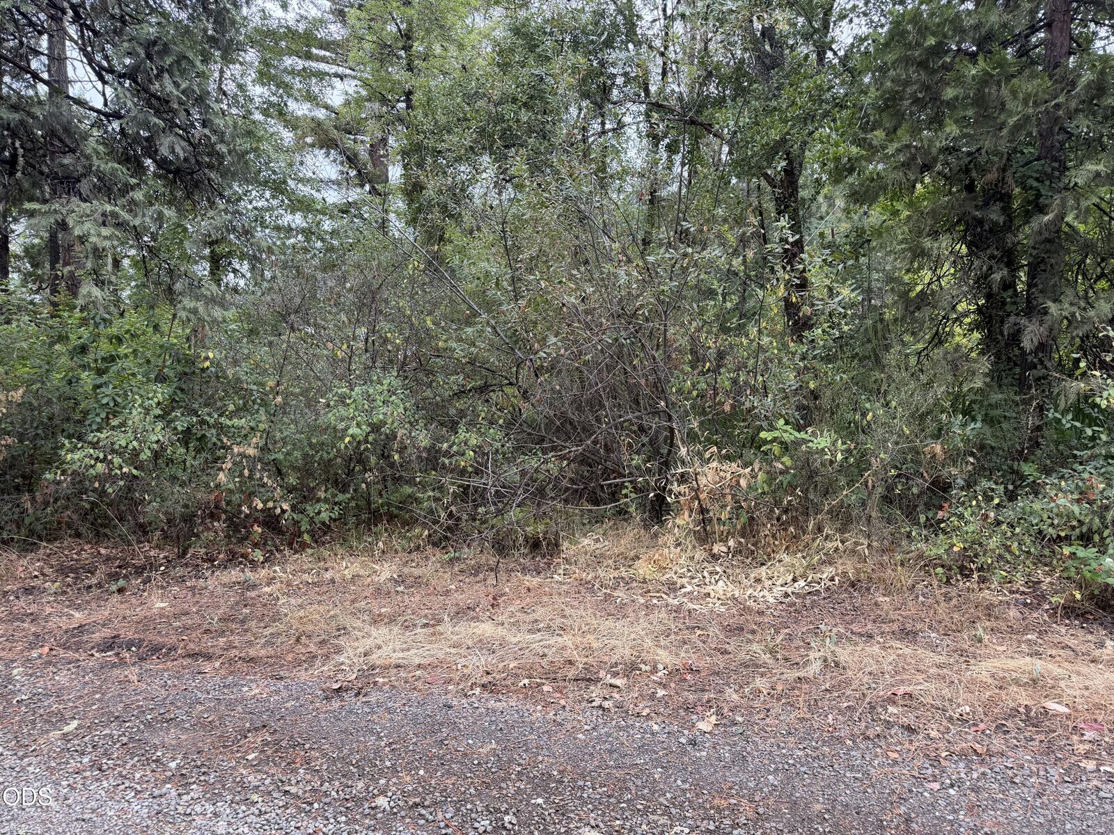 Property Photo:  0 Elk Creek Road  OR 97541 