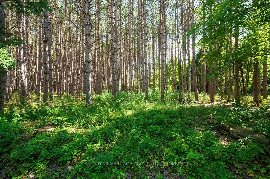 Property Photo:  817 Powers Road  ON K7H 3C5 