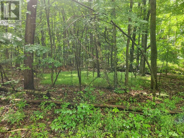 Property Photo:  000 Cedar Sands Road Way  ON K0E 1N0 
