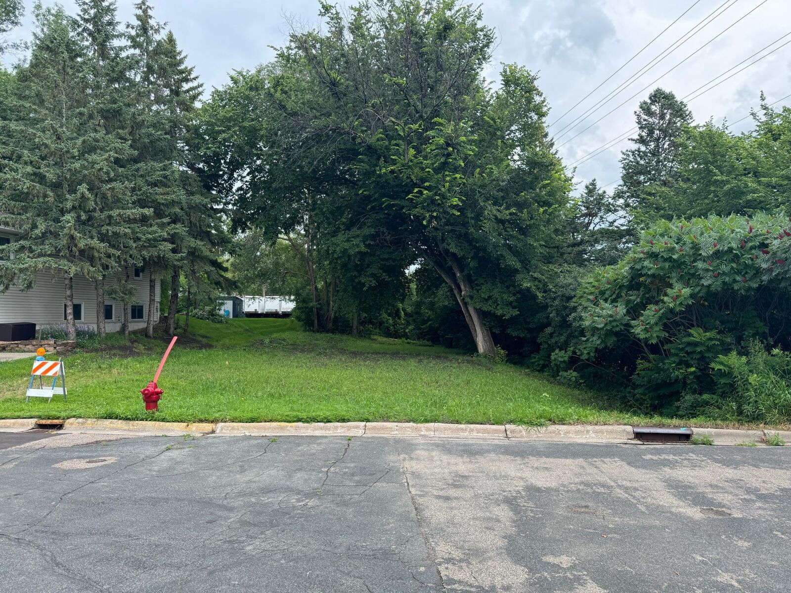 Property Photo:  409 S Orange Street  MN 55387 