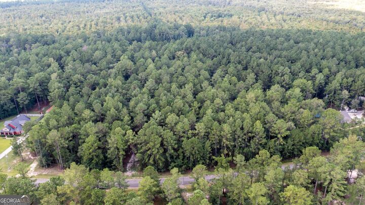 Property Photo:  V/L 16 Forest Trace  GA 31565 