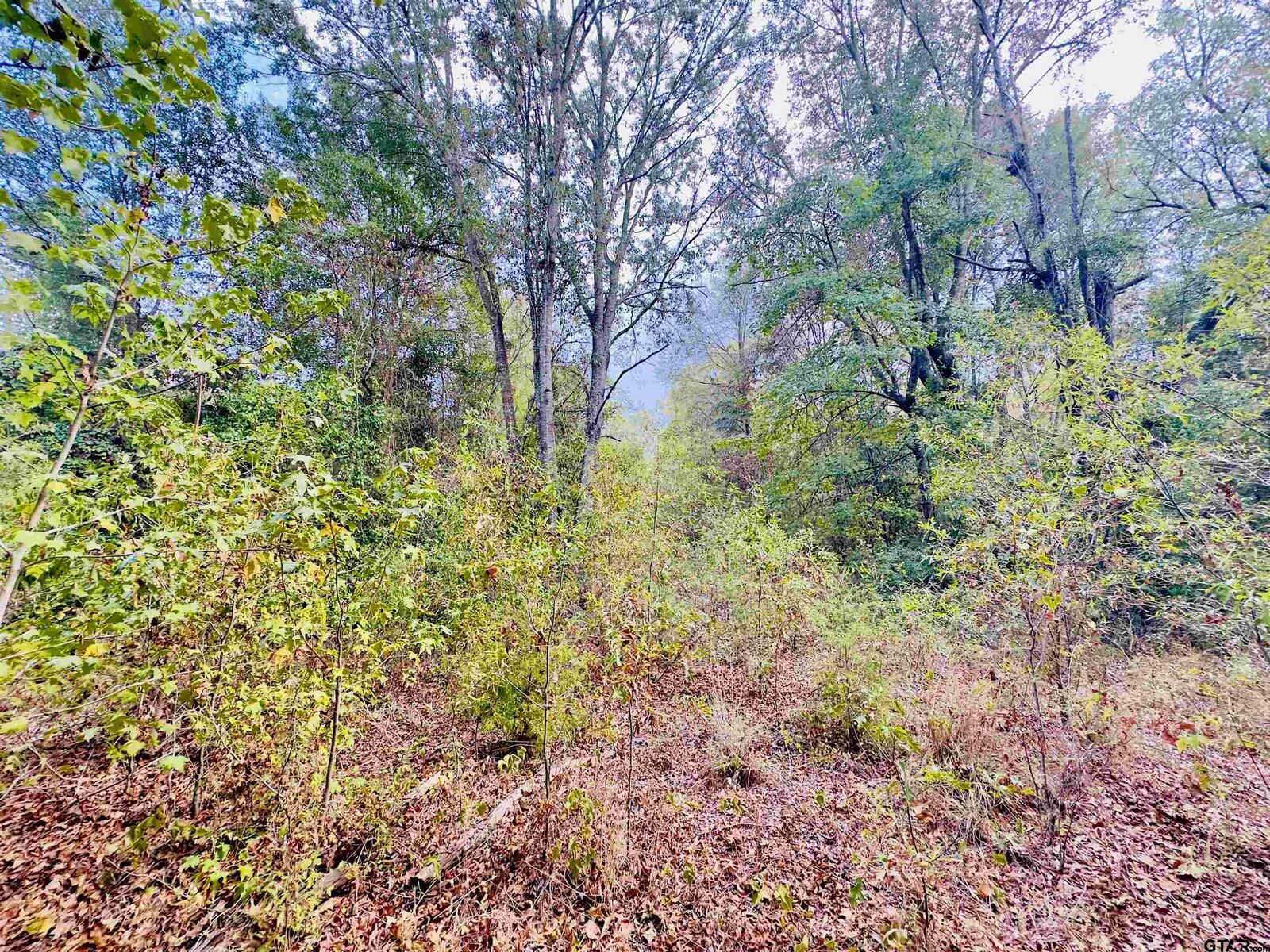 Property Photo: 0000 Apple Tree Rd TX 75644