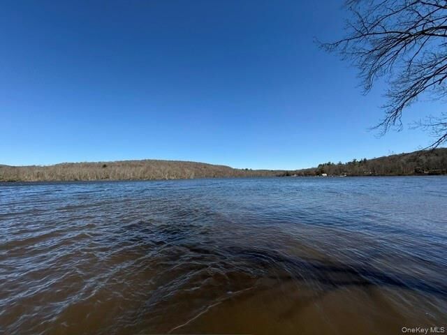 Property Photo:  Lot 28.53 Shore Road Extension  NY 12783 
