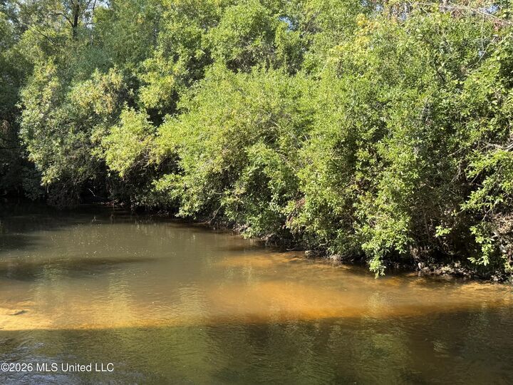 Property Photo:  156.3 Acres Beesley Road  MS 39452 