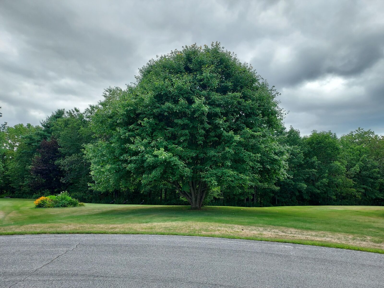 Property Photo:  27 Emery Avenue  ME 04861 