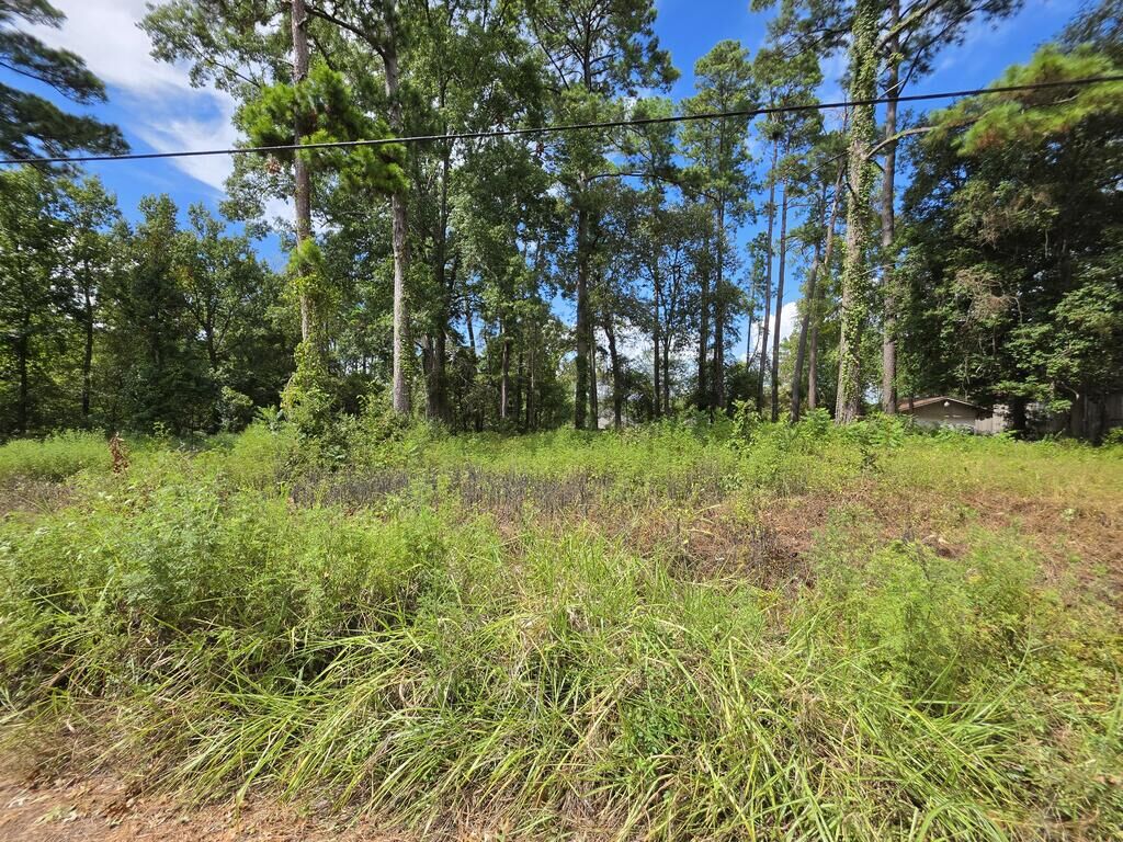 Property Photo: 156 Lakeview Dr TX 77360