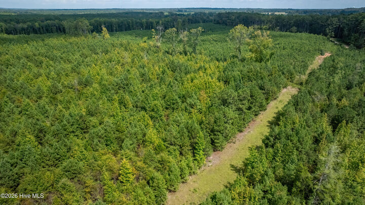 Property Photo: Lot 2 Union Church Road GA 30824