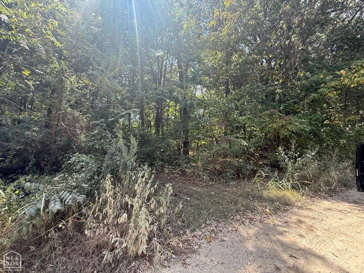 Property Photo: 3 County Road 320 AR 72416