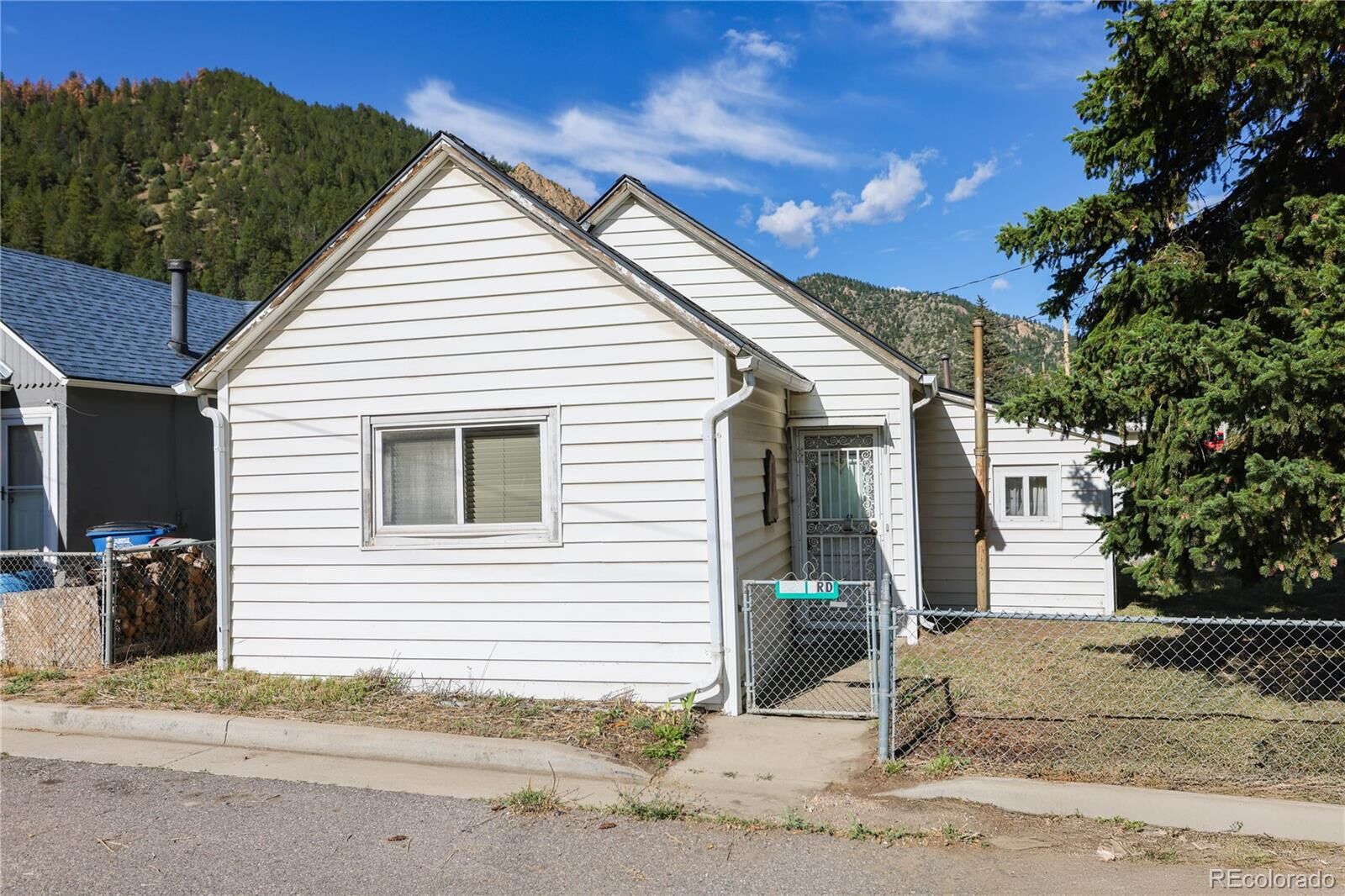 Property Photo:  223 3rd Avenue  CO 80452 