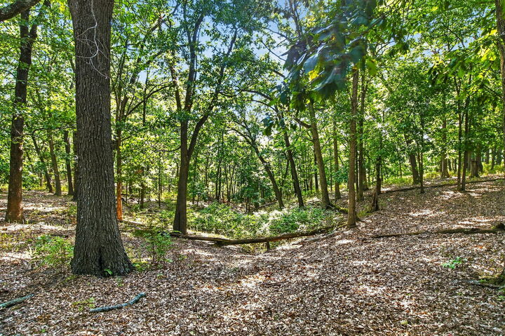 Property Photo: 14 Buena Vista Parkway MO 65757