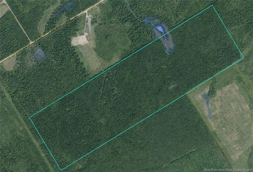 Property Photo:  Woodlot 8 Route 126  NB E4T 2C8 