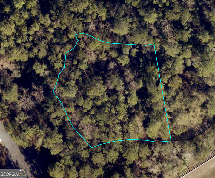Property Photo: 111 Canoe Run GA 31569