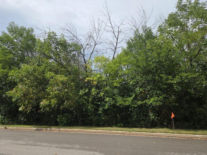 Property Photo:  Lot 49 N High St  WI 53050 