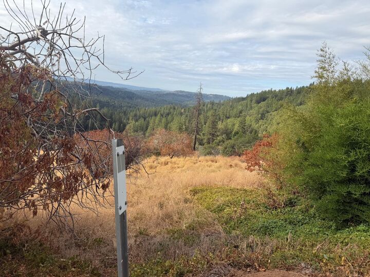 Property Photo:  3124 Meyers Road  CA 95709 