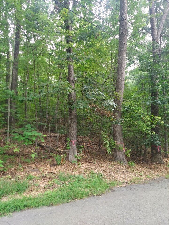 Property Photo: 1005 Park Hill Road MA 01062