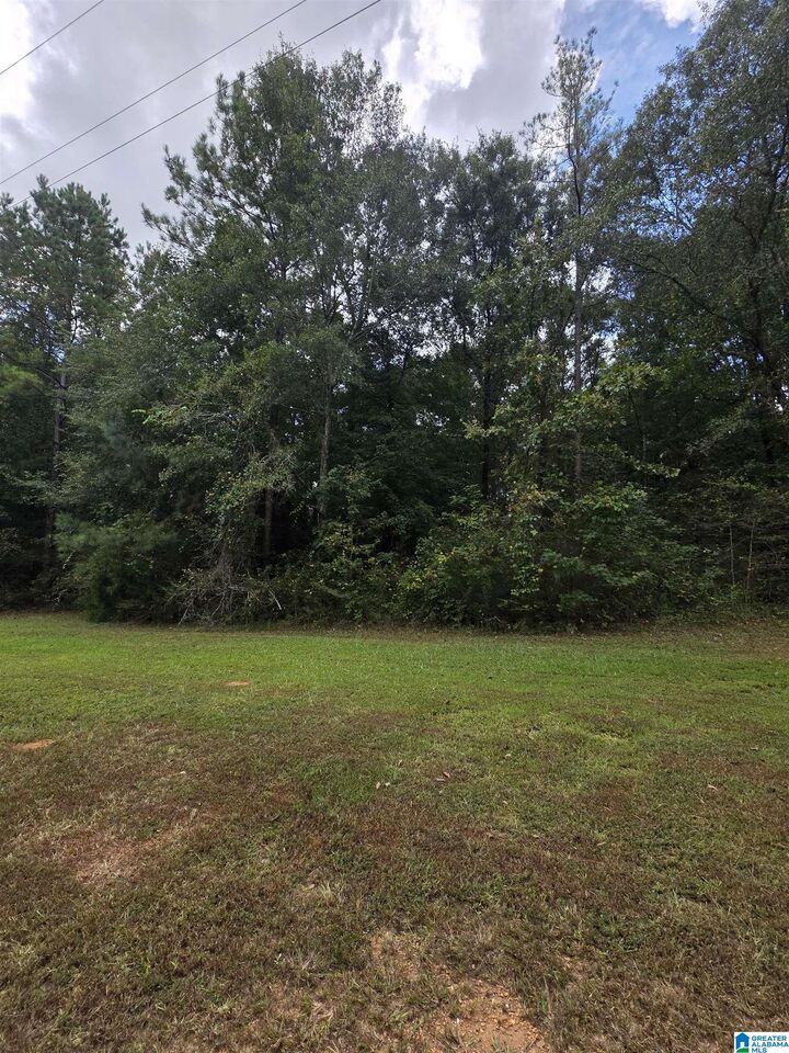Property Photo:  0 John Irwin Drive 0  AL 35160 