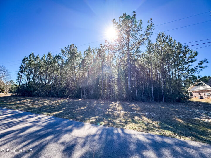 Property Photo:  Dill Road  MS 39574 