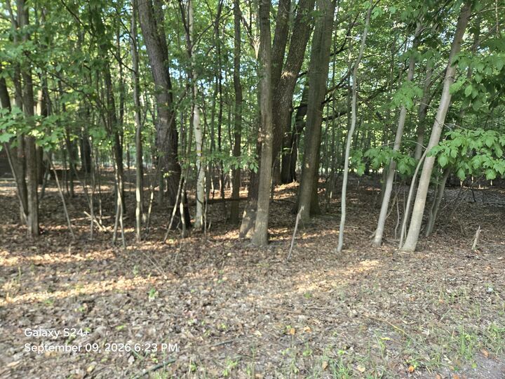 Property Photo: 4 Lots W Beech Street MI 49431