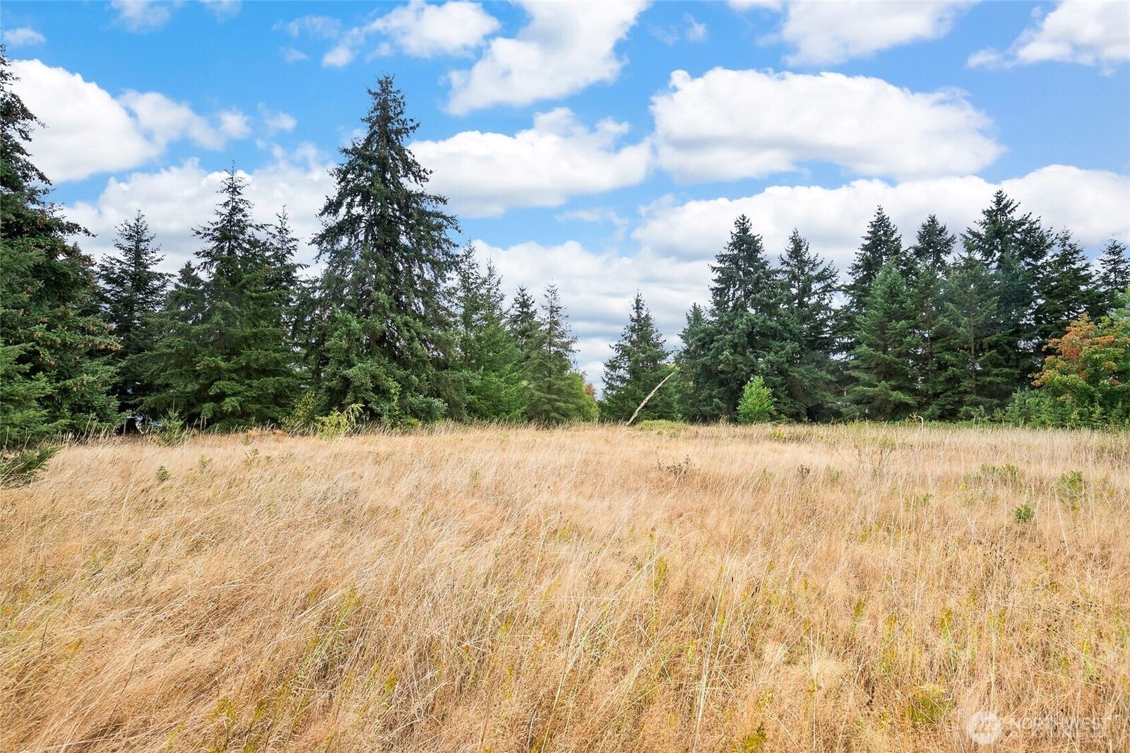 Property Photo:  0  Case Road SW  WA 98579 