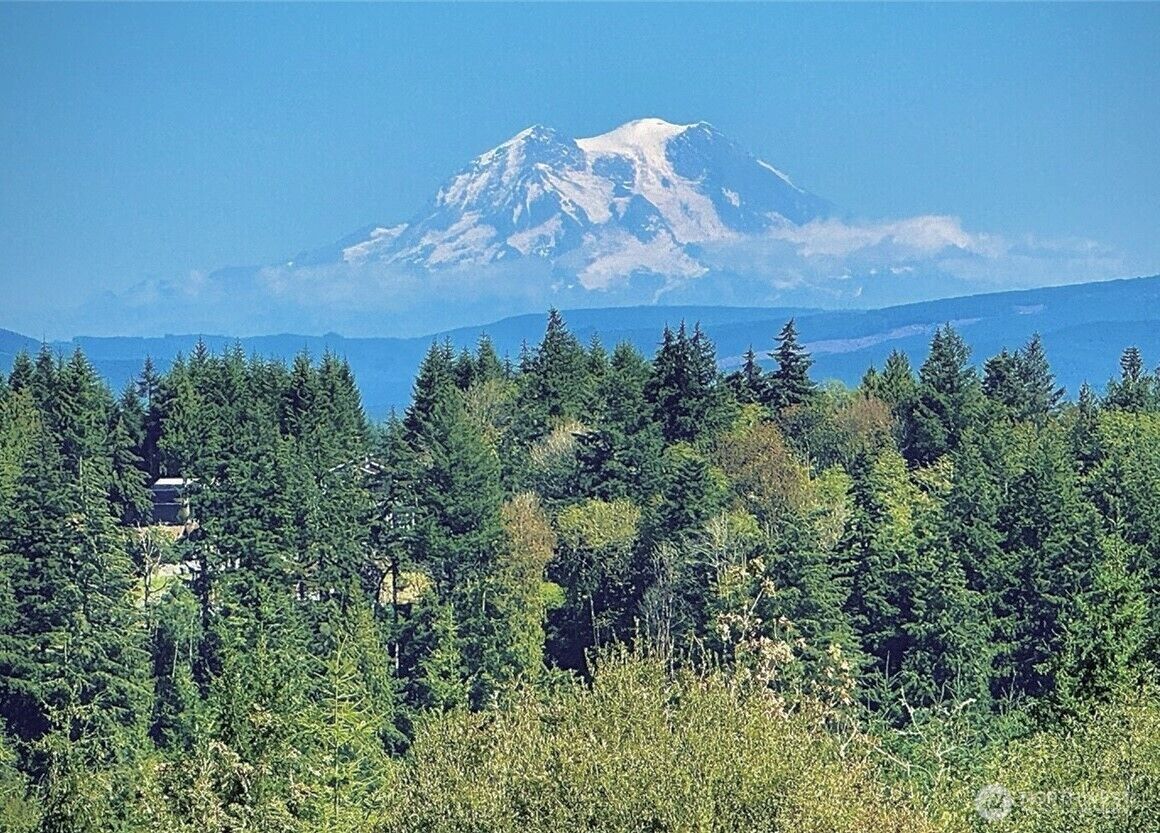 Property Photo:  170  Sawall Avenue  WA 98531 