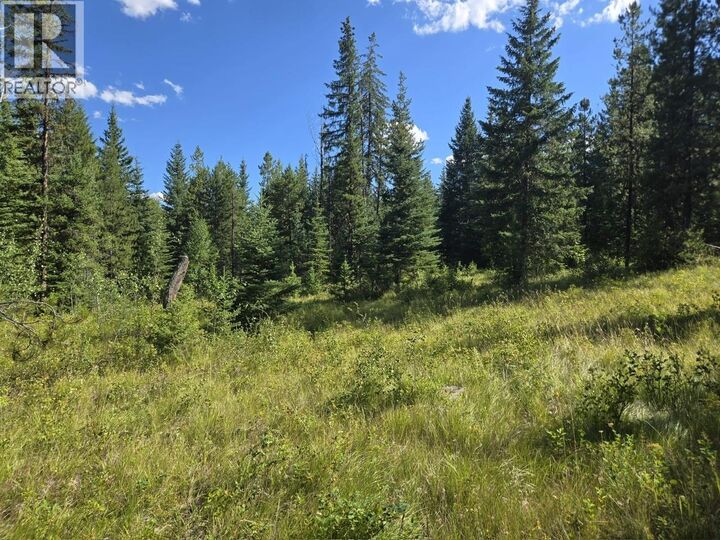 Property Photo:  3680 Miller Lake Fsr Forest  BC V0E 1W1 
