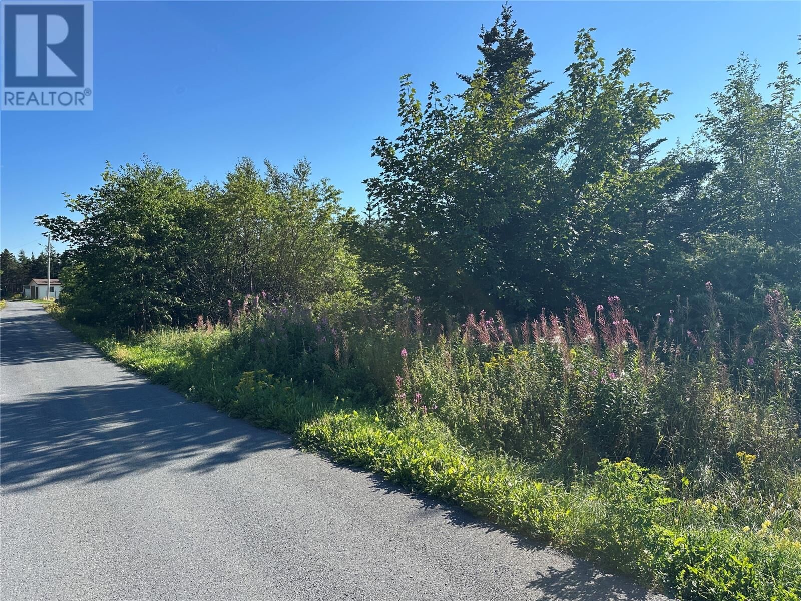 Property Photo:  12-14 Old Track Road  NL A0B 2B0 