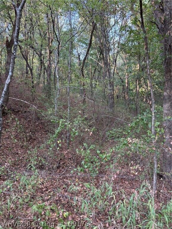 Property Photo: Tbd Buck Creek Road OK 74930