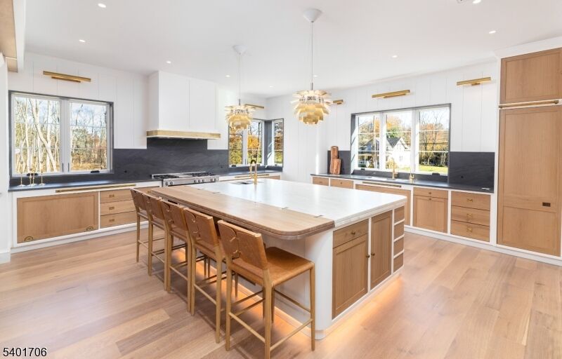 Property Photo:  446 Green Village Rd  NJ 07935 