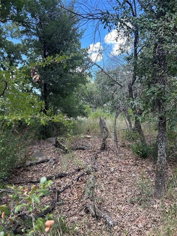 Property Photo:  4 Haynie Drive  TX 76426 
