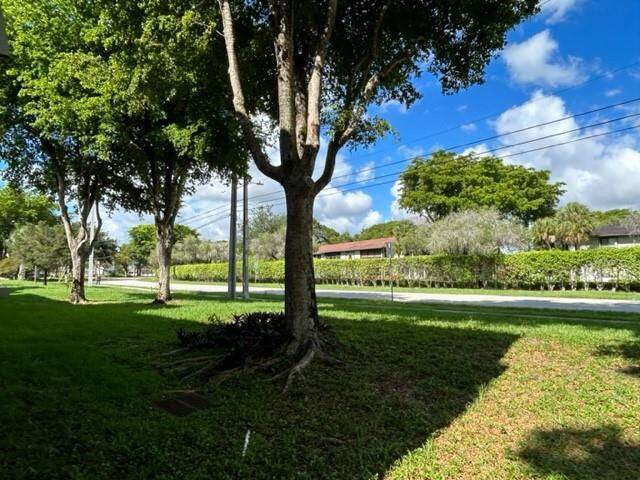 Property Photo:  9351 Lime Bay Boulevard 215  FL 33321 
