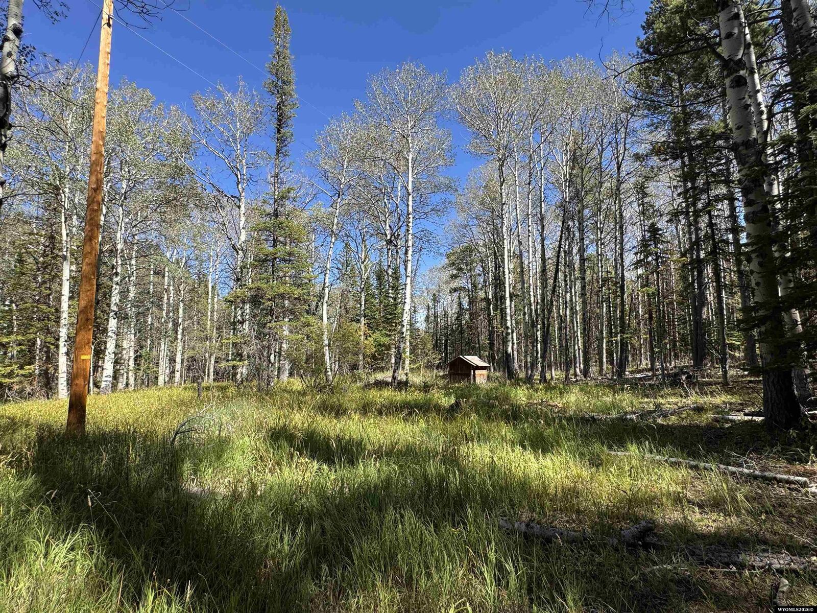 Property Photo: Lot 8 Lemmers WY 82601