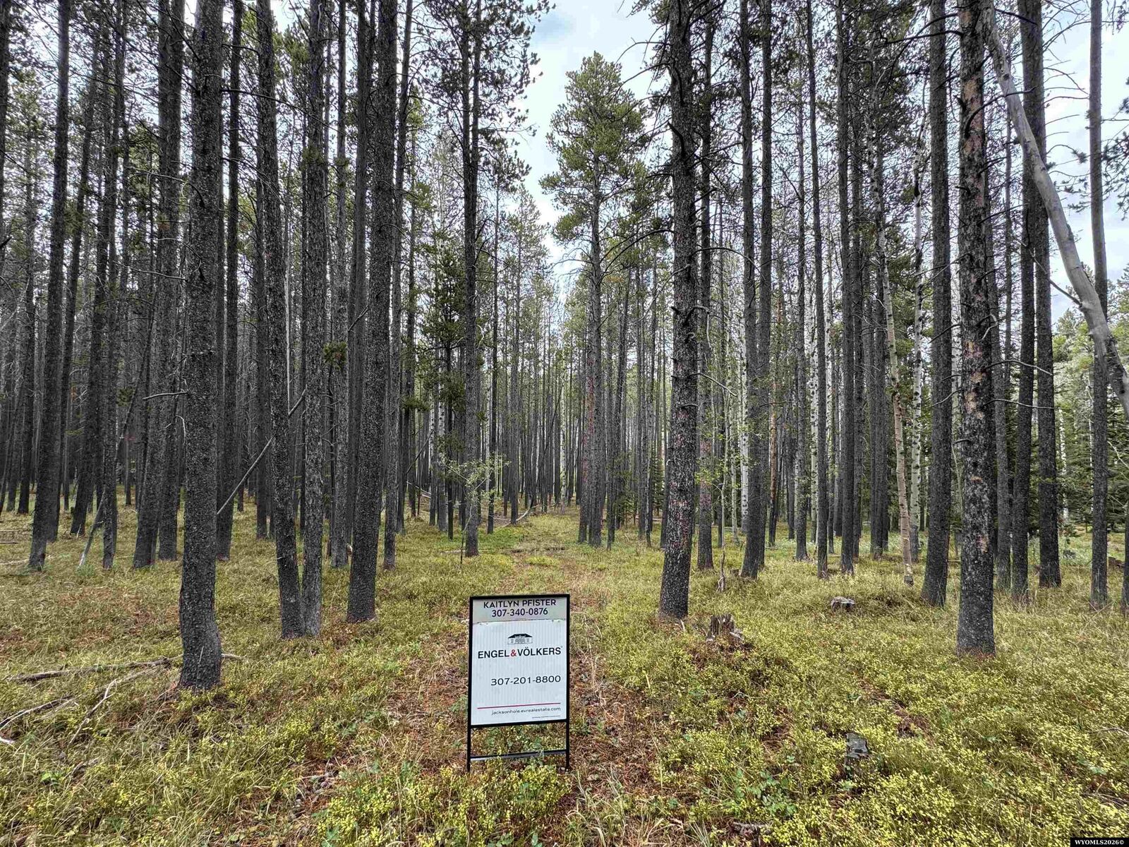 Property Photo: Lot 8 Lemmers WY 82601