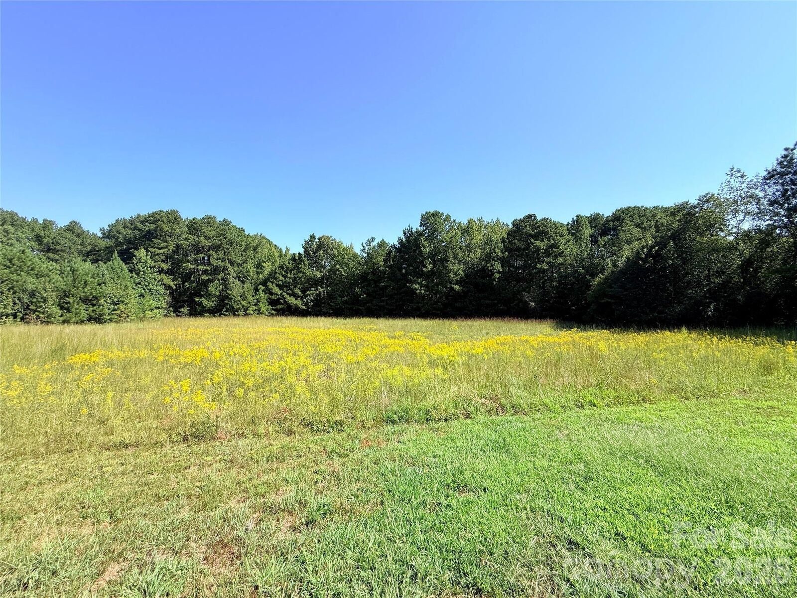 Property Photo: 1835 Josie Road SC 29014