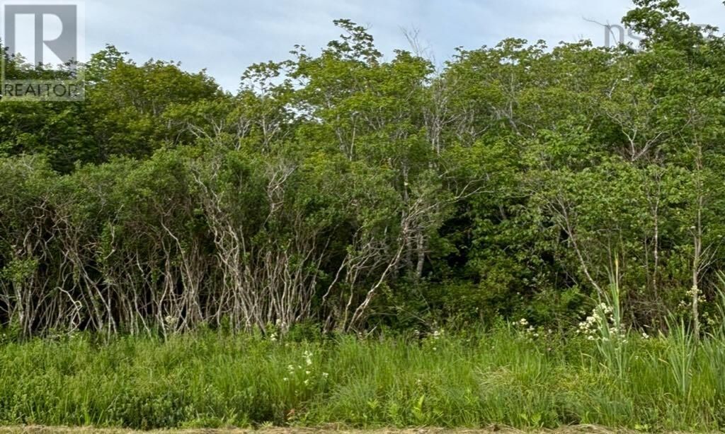 Property Photo:  Highway 1  NS B0W 1M0 