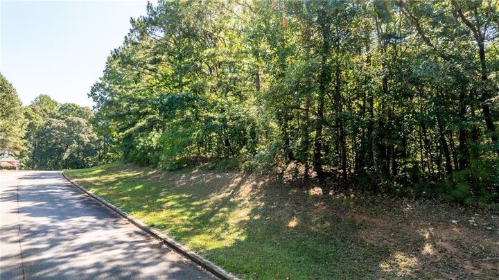 Property Photo:  205 Long Cove Drive  GA 30240 